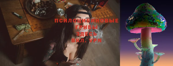 стафф Абинск