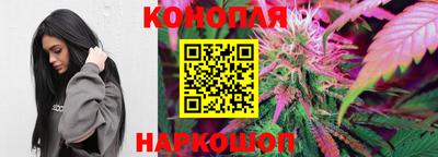 прущие крисы Партизанск