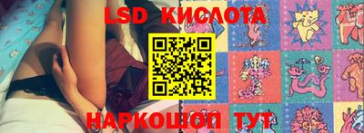 прущие крисы Партизанск