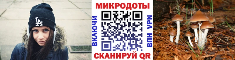 Галлюциногенные грибы MAGIC MUSHROOMS  продажа наркотиков  Волоколамск 