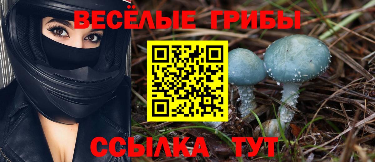 Псилоцибиновые грибы Psilocybine cubensis  Вход с VPN  Галлюциногенные грибы Cubensis  Волоколамск 